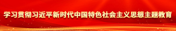 激情国产操逼学习贯彻习近平新时代中国特色社会主义思想主题教育